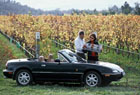 The Classic New Zealand Wine Trail