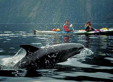 Fiordland & Te Anau
