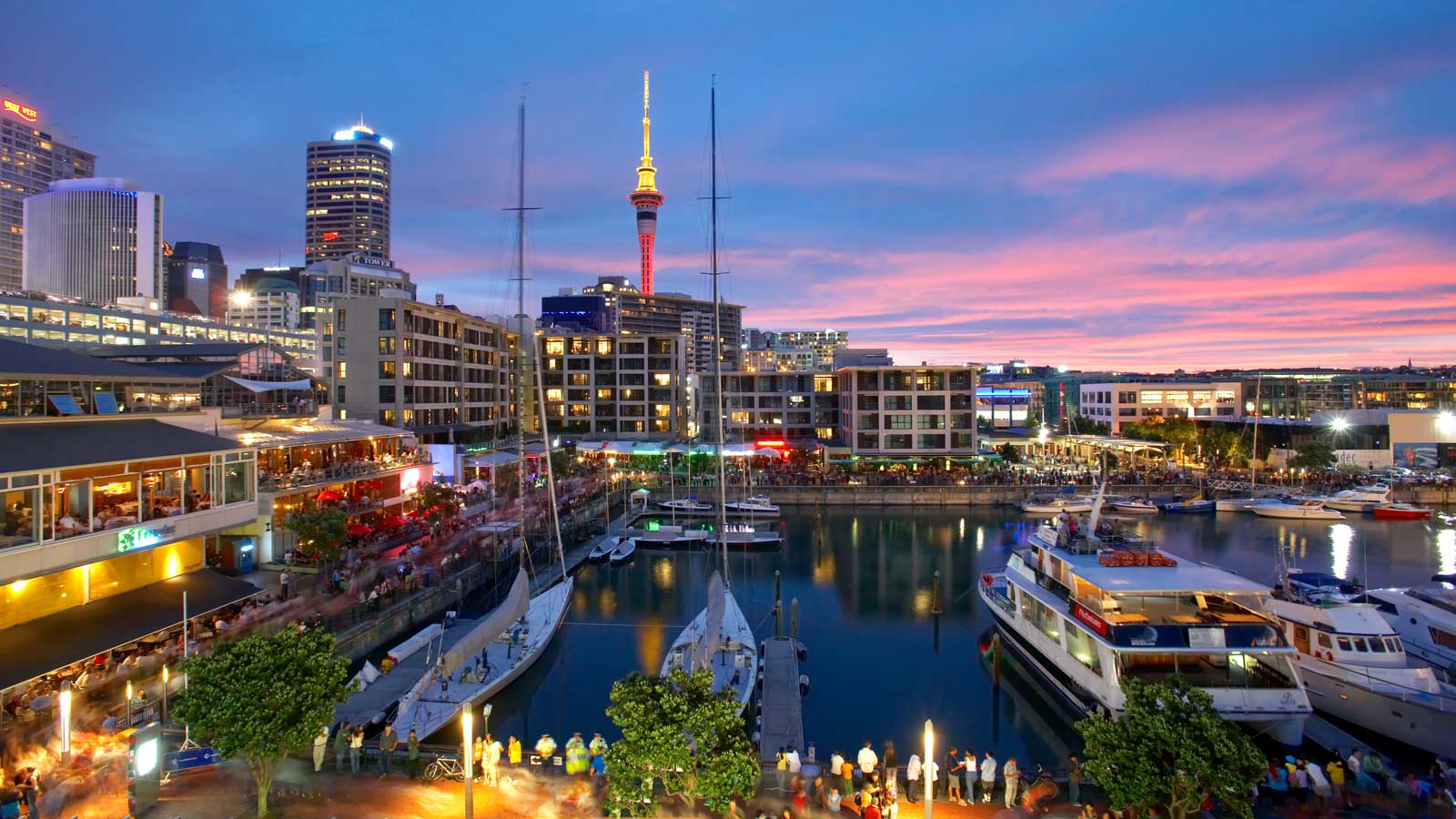 tourism nz business events