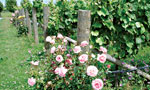 Marlborough Wine Tours