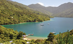 Punga Cove Resort