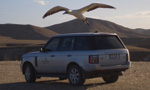 Gannet Safaris